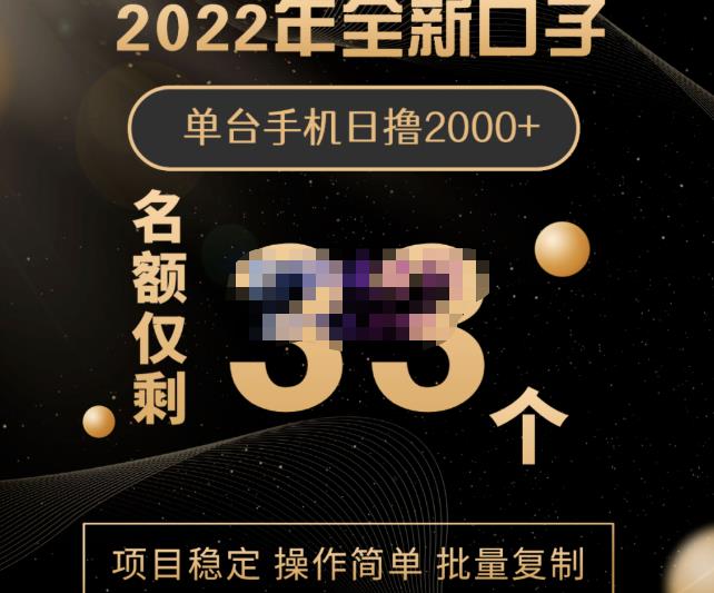 2022年全新口子，手机批量搬砖玩法，一部手机日撸2000+-博学库