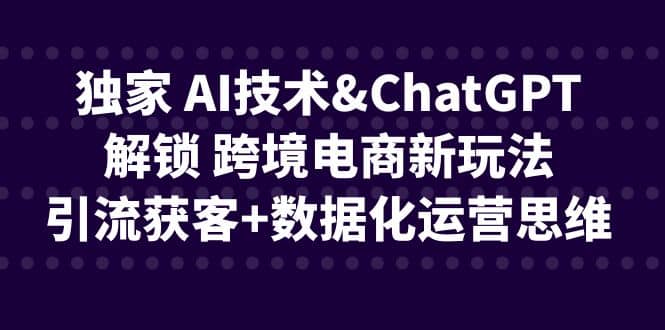 独家 AI技术ChatGPT解锁 跨境电商新玩法，引流获客+数据化运营思维-博学库
