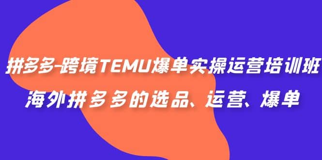 拼多多-跨境TEMU爆单实操运营培训班，海外拼多多的选品、运营、爆单-博学库
