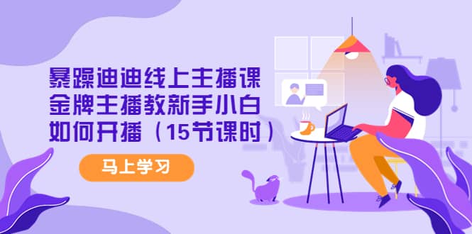 暴躁迪迪线上主播课，金牌主播教新手小白如何开播（15节课时）-博学库