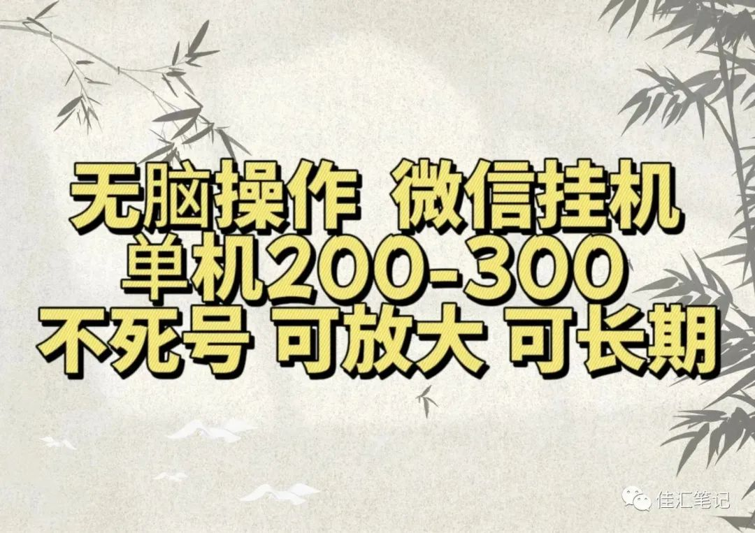 无脑操作微信视频号挂机单机200-300一天，不死号，可放大，工作室实测-博学库