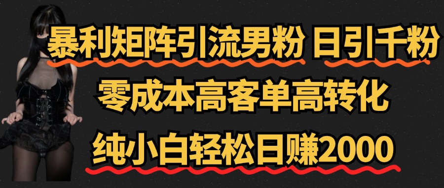 暴利矩阵引流男粉（日引千粉），零成本高客单高转化，纯小白轻松日赚2000+-博学库