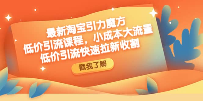最新淘宝引力魔方低价引流实操：小成本大流量-博学库