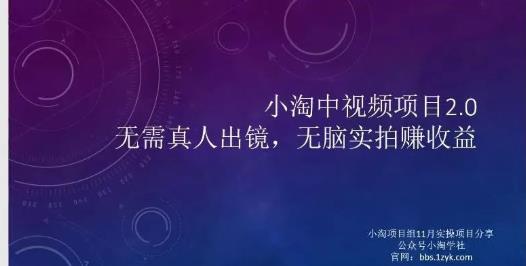 小淘项目组网赚永久会员，绝对是具有实操价值的，适合有项目做需要流程【持续更新】-博学库