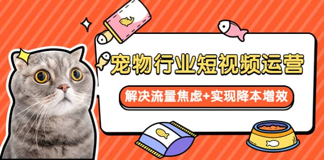 宠物/行业短视频运营 流量增长的一层窗户纸 解决流量焦虑+实现降本增效-博学库