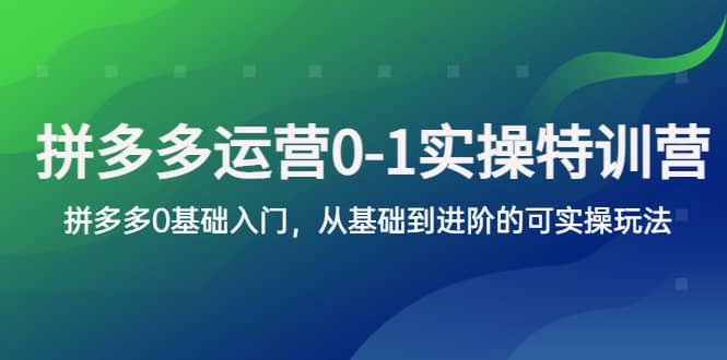 拼多多-运营0-1实操训练营，拼多多0基础入门，从基础到进阶的可实操玩法-博学库