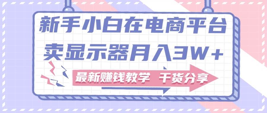 新手小白如何做到在电商平台卖显示器月入3W+，最新赚钱教学干货分享-博学库