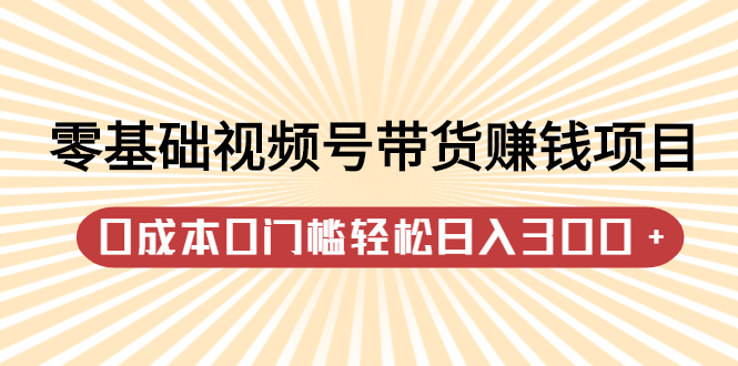 零基础视频号带货赚钱项目，0成本0门槛轻松日入300+【视频教程】-博学库