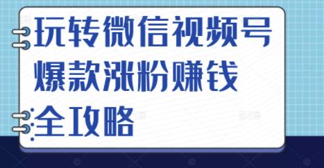 玩转微信视频号爆款涨粉赚钱全攻略，让你快速抓住流量风口，收获红利财富-博学库