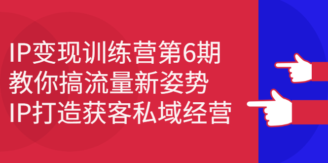 IP变现训练营第6期：教你搞流量新姿势，IP打造获客私域经营-博学库