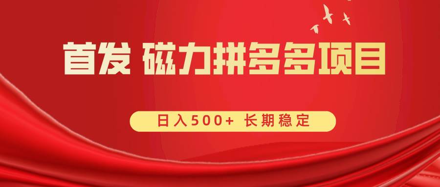 首发 磁力拼多多自撸  日入500+-博学库