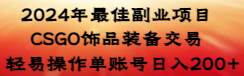 2024年最佳副业项目 CSGO饰品装备交易 轻易操作单账号日入200+-博学库