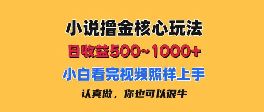 小说撸金核心玩法，日收益500-1000+，小白看完照样上手，0成本有手就行-博学库