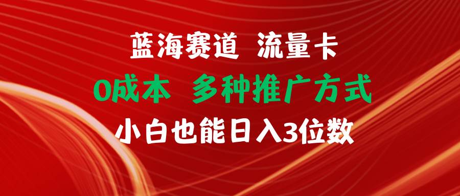 蓝海赛道 流量卡 0成本 小白也能日入三位数-博学库