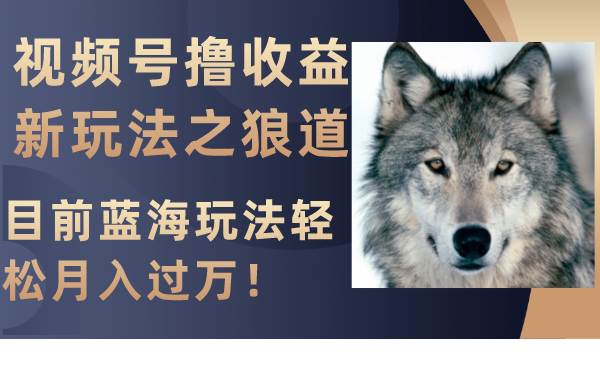 视频号撸收益新玩法之狼道，目前蓝海玩法轻松月入过万！-博学库