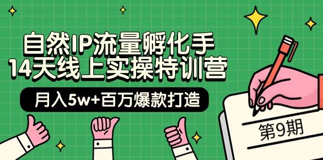 自然IP流量孵化手 14天线上实操特训营【第9期】月入5w+百万爆款打造 (74节)-博学库