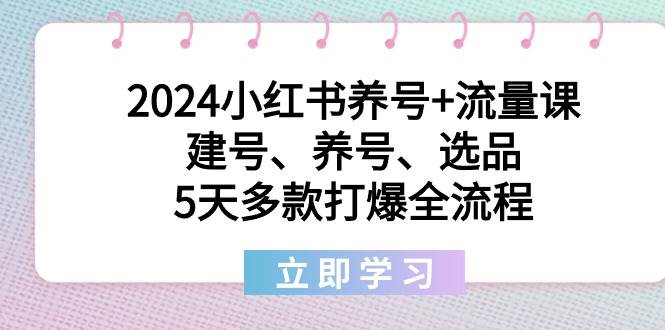 2024小红书养号+流量课：建号、养号、选品，5天多款打爆全流程-博学库