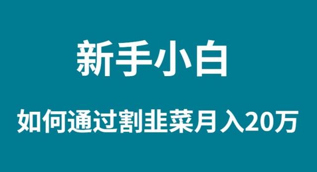 新手小白如何通过割韭菜月入 20W-博学库