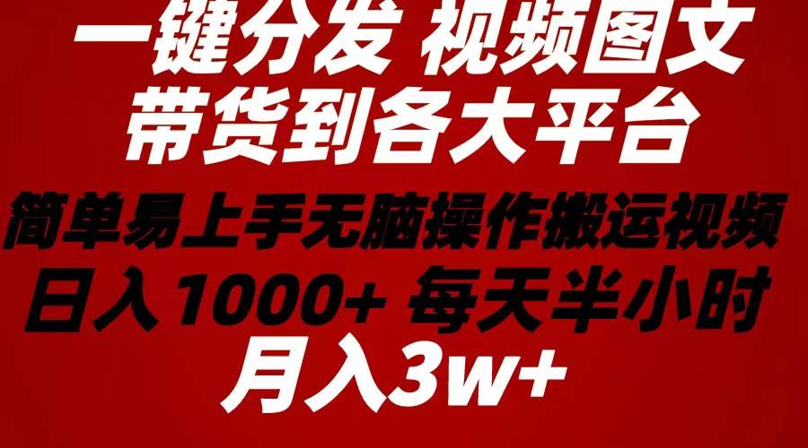 2024年 一键分发带货图文视频  简单易上手 无脑赚收益 每天半小时日入1…-博学库