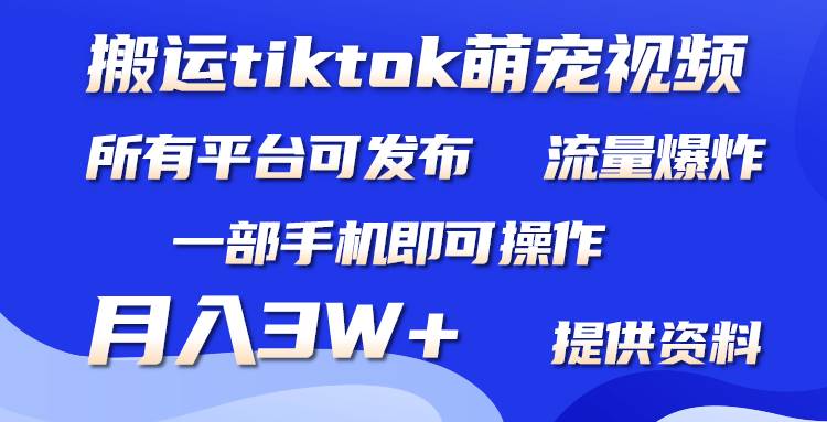 搬运Tiktok萌宠类视频，一部手机即可。所有短视频平台均可操作，月入3W+-博学库