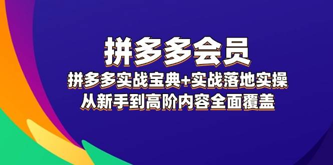 拼多多 会员，拼多多实战宝典+实战落地实操，从新手到高阶内容全面覆盖-博学库