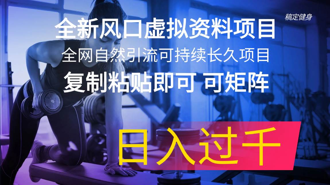 全新风口虚拟资料项目 全网自然引流可持续长久项目 复制粘贴即可可矩阵…-博学库