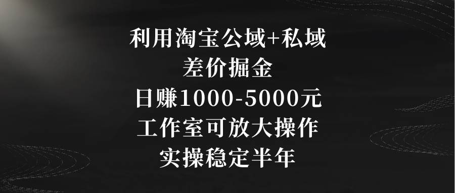 利用淘宝公域+私域差价掘金，日赚1000-5000元，工作室可放大操作，实操…-博学库