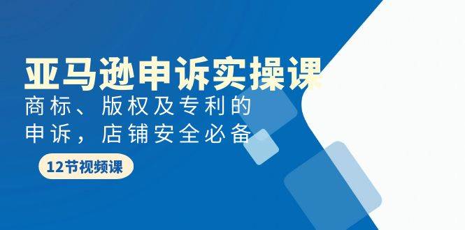 亚马逊-申诉实战课，商标、版权及专利的申诉，店铺安全必备-博学库