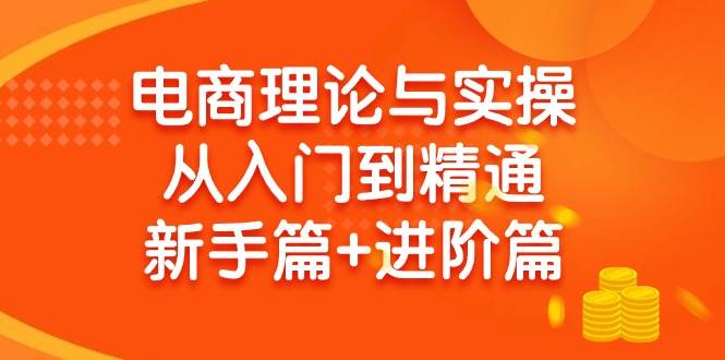 电商理论与实操从入门到精通 新手篇+进阶篇-博学库